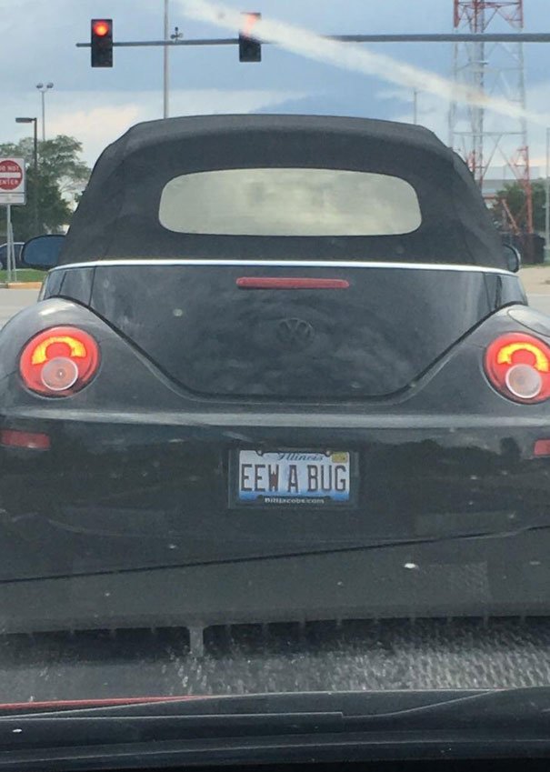 Image Credit: Reddit/geekyspacegirl420