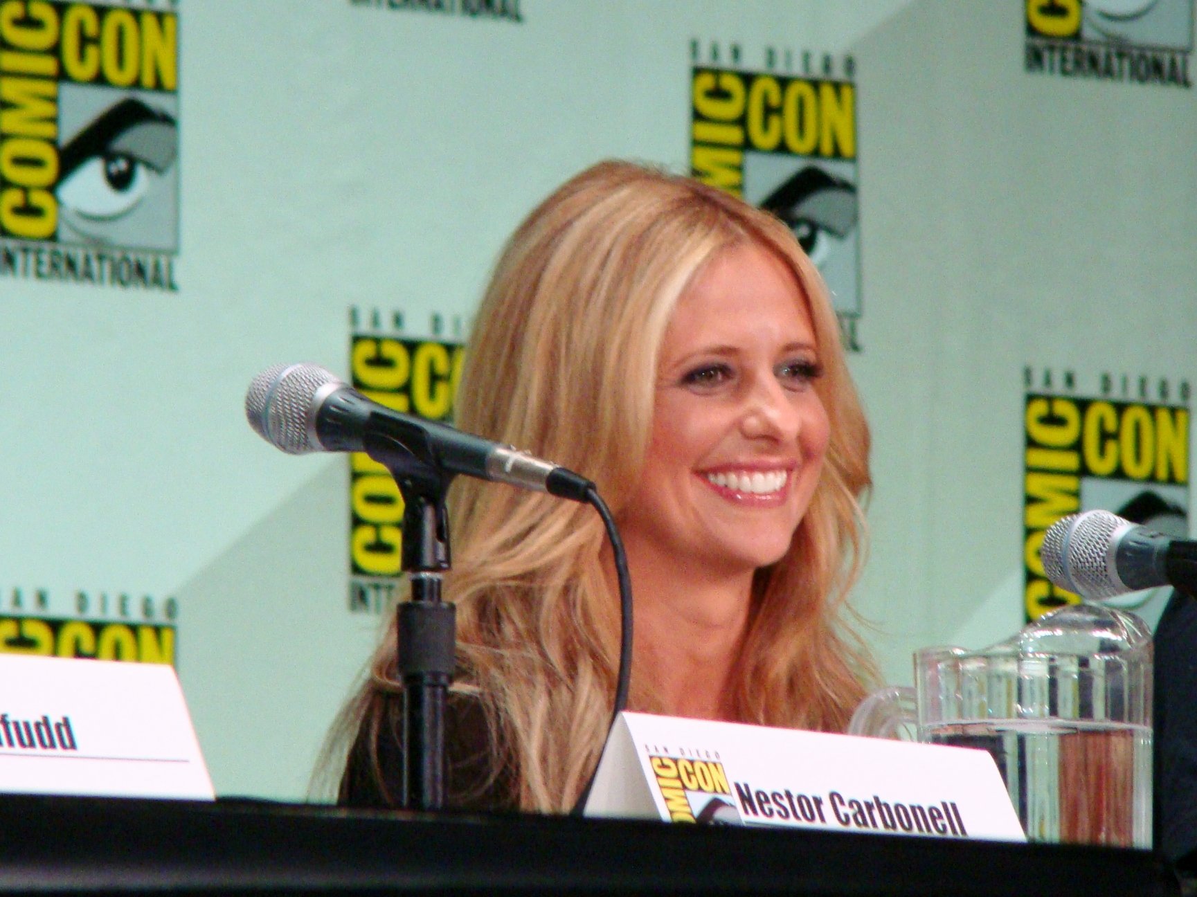 Sarah Michelle Gellar knows why Buffy was such a success / CC BY 2.0 / vagueonthehow / flickr