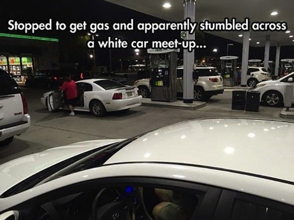Image credits: Reddit/Former_Manc Image credits: Reddit/Former_Manc