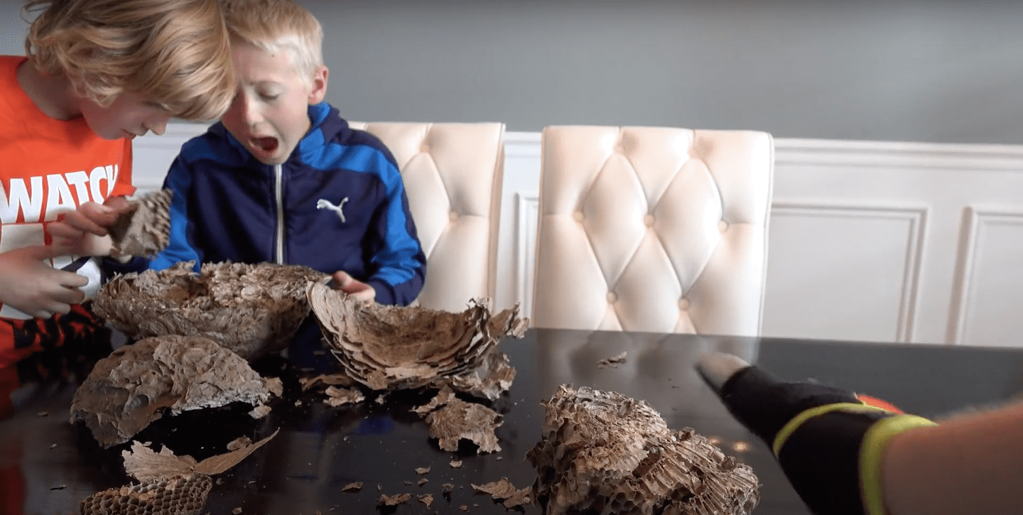Image Credit: YouTube/What's Inside? Image Credit: YouTube/What's Inside?
