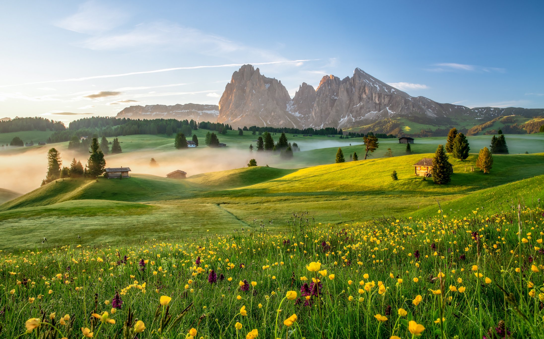 Image Credit: Getty Images Image Credit: Getty Images