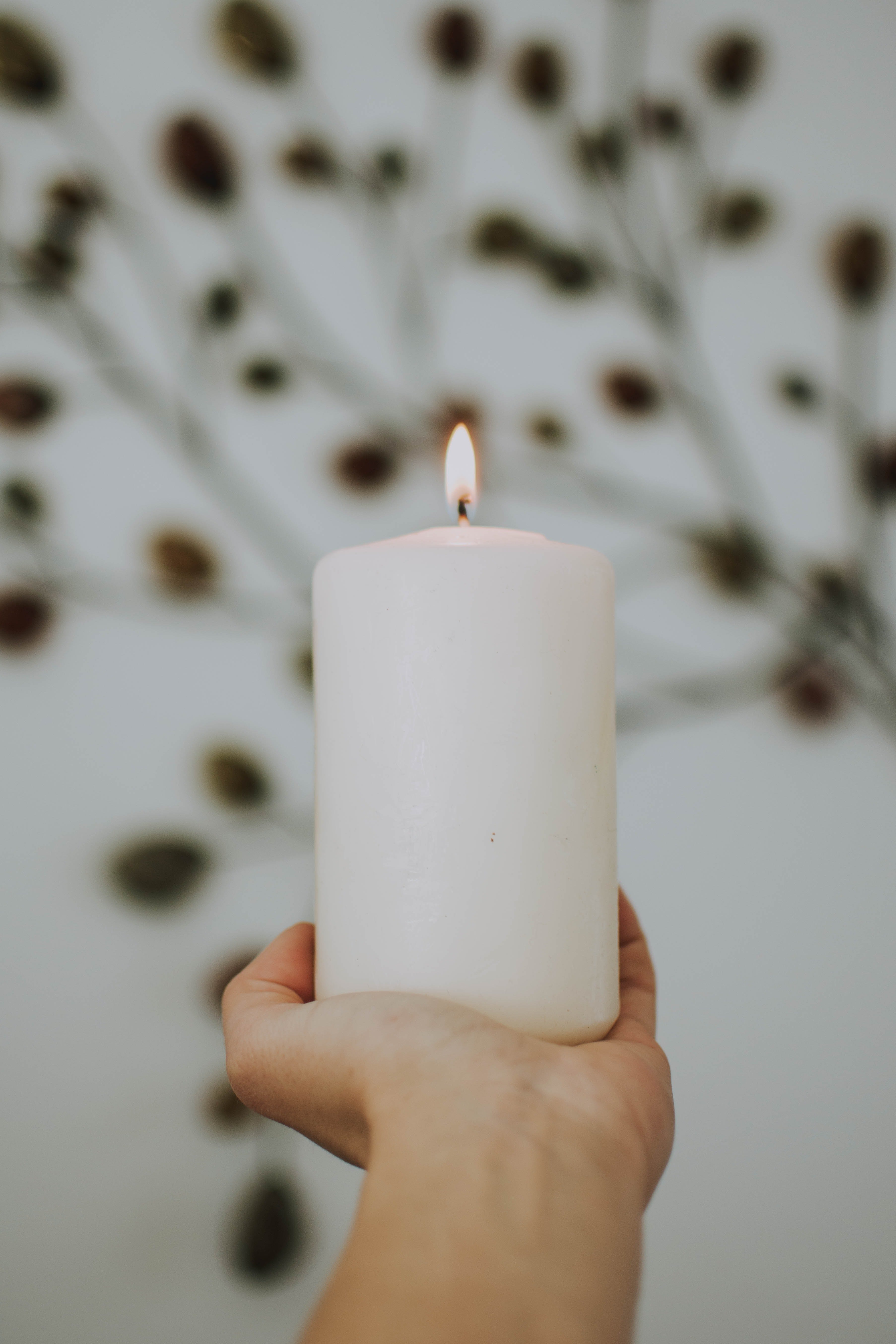 Photo by fotografierende from Pexels