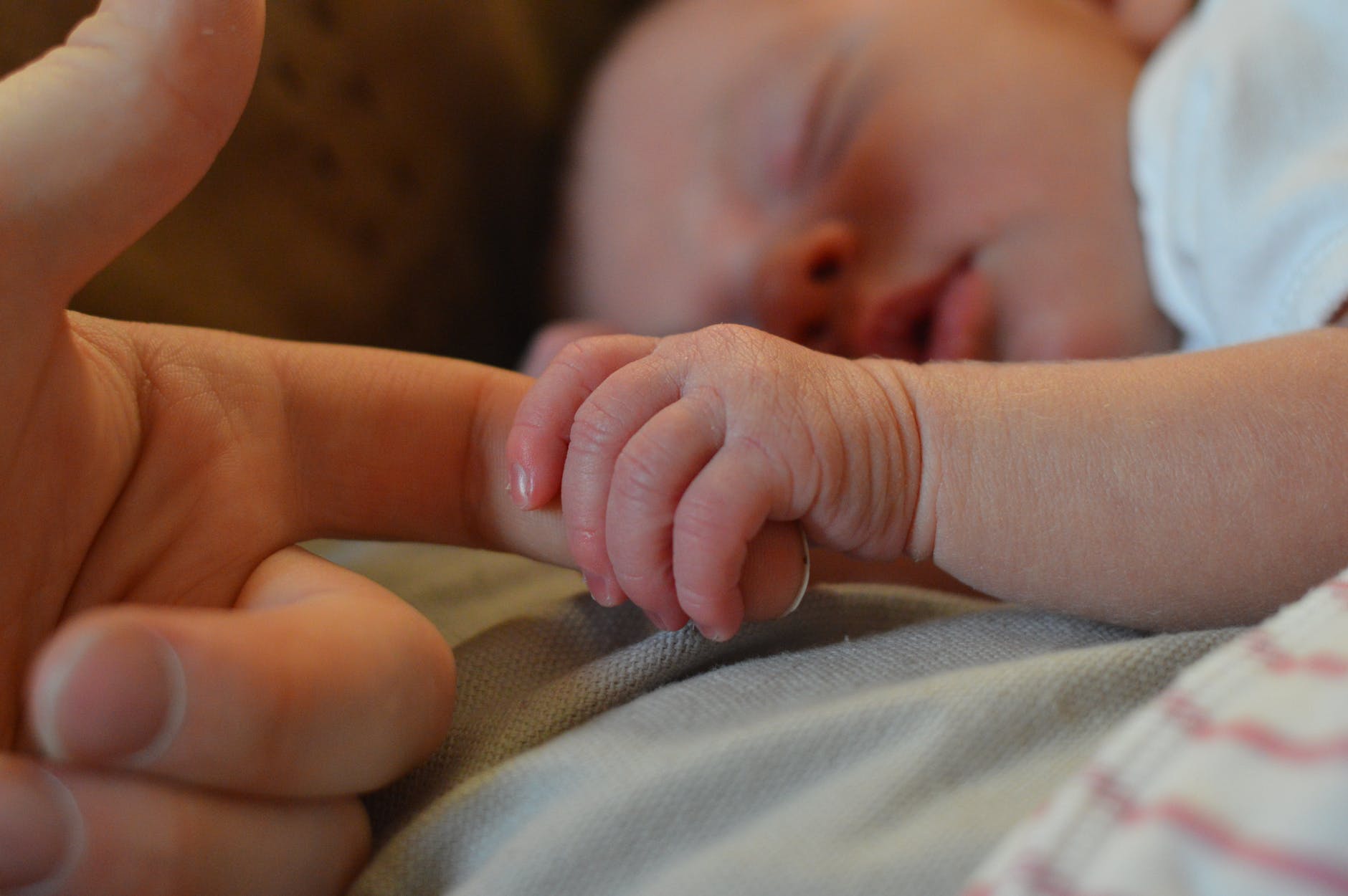 Image Credit: Pexels/Wayne Evans/For illustrative purposes