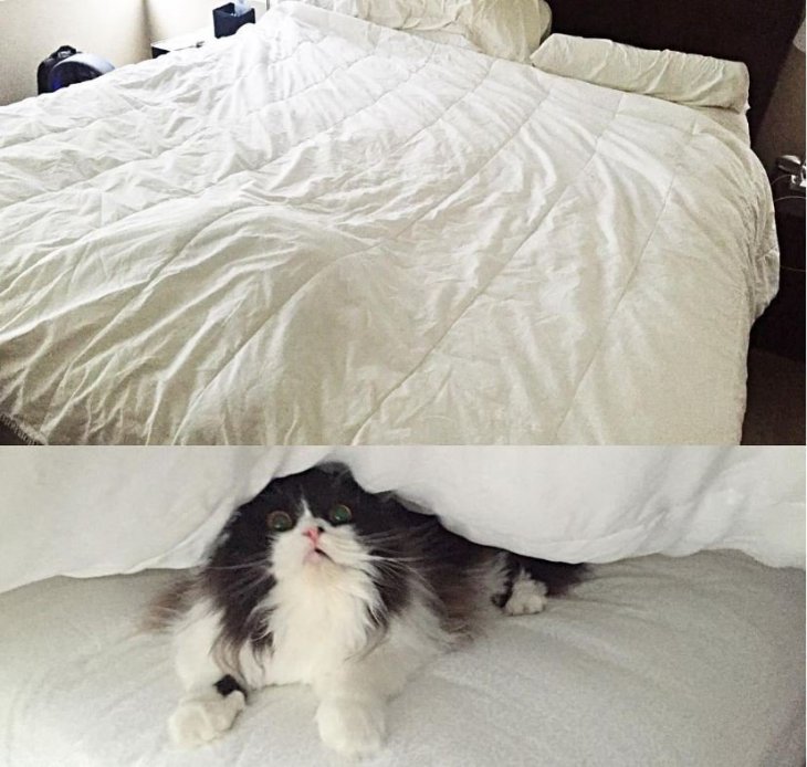 Crédito de imagen: Instagram/eatdrinkcat Crédito de imagen: Instagram/eatdrinkcat