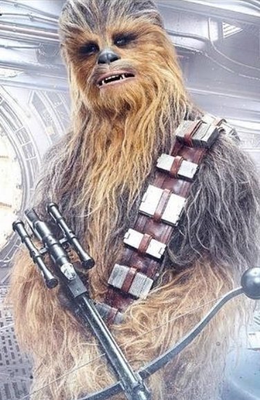 Image credit: Instagram/the_last_jedi_official Image credit: Instagram/the_last_jedi_official