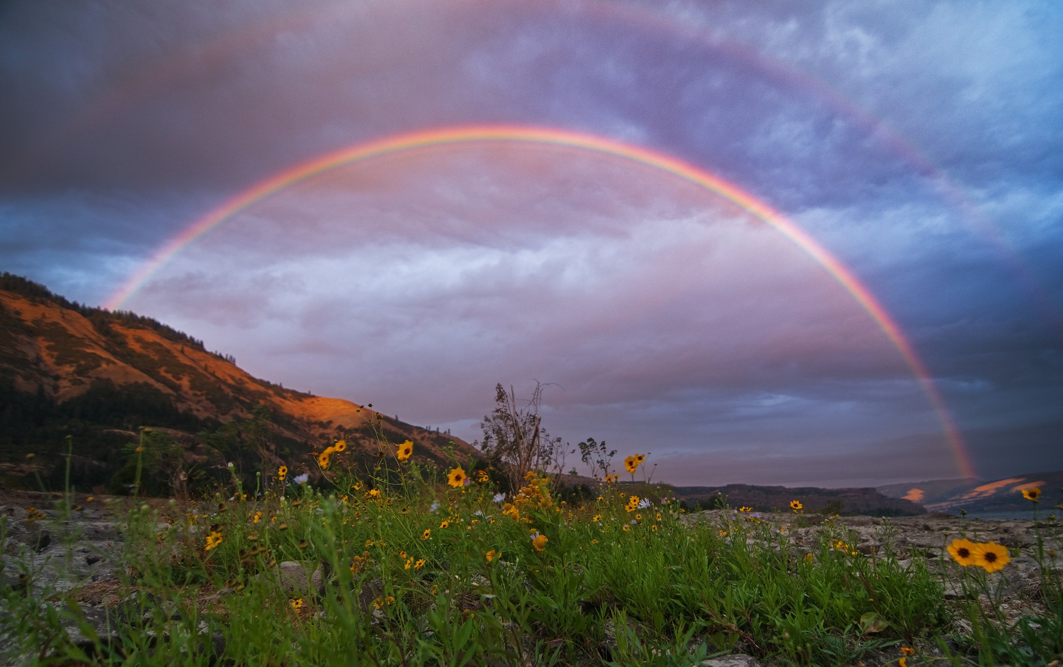 Image Credit: Getty Images Image Credit: Getty Images