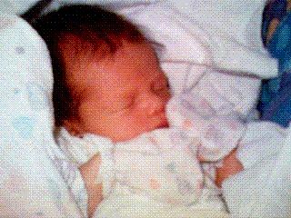 Image Credit: Wikipedia/Phillipe Kahn Image Credit: Wikipedia/Phillipe Kahn