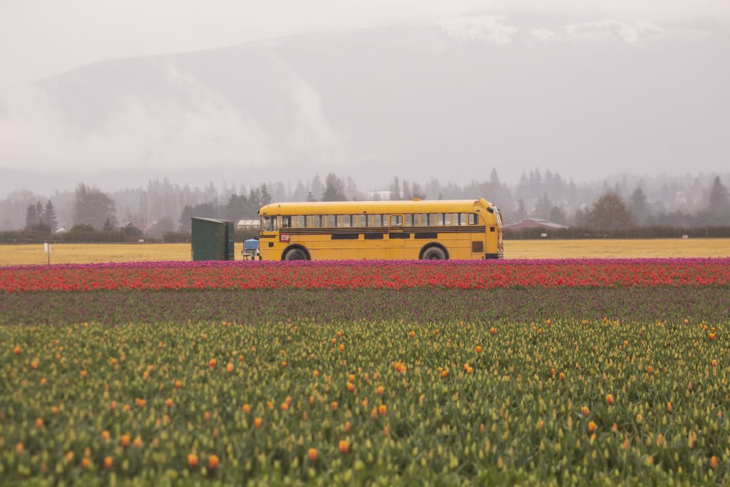 Image Credit: Getty Images | For Illustrative Purposes Image Credit: Getty Images | For Illustrative Purposes
