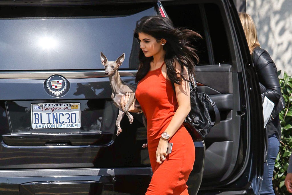 Image Credit: Getty Images / Kylie Jenner promotes TopShop at the Grove with her dog Norman on June 03, 2015 in Los Angeles, California
