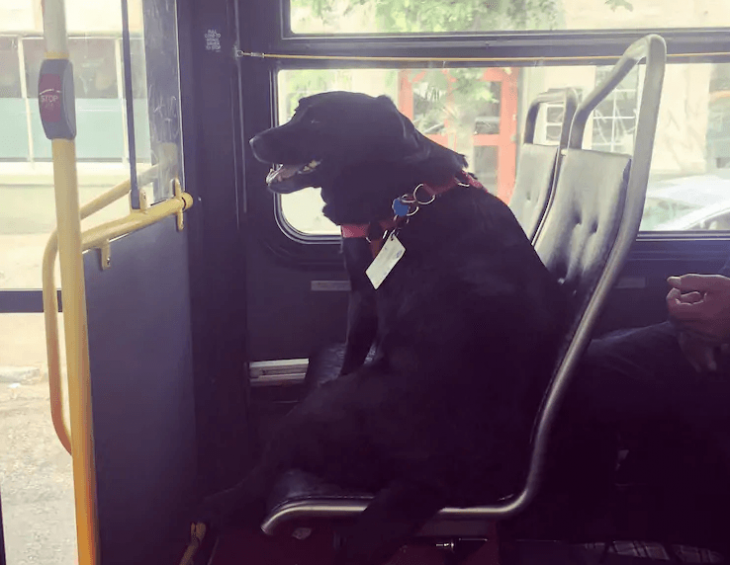 Créditos de imagen: Reddit/seattlecitymisfit Créditos de imagen: Reddit/seattlecitymisfit
