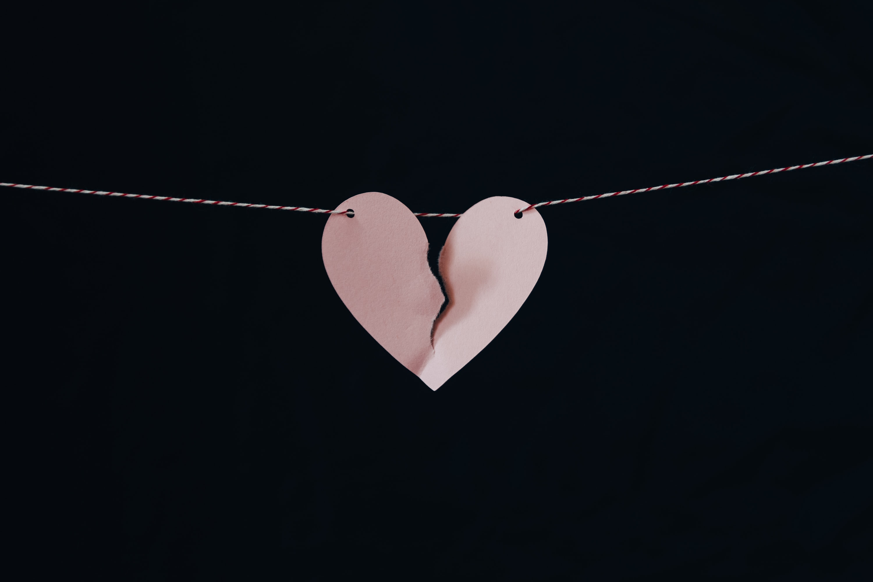 Image Source: Unsplash/Kelly Sikkema