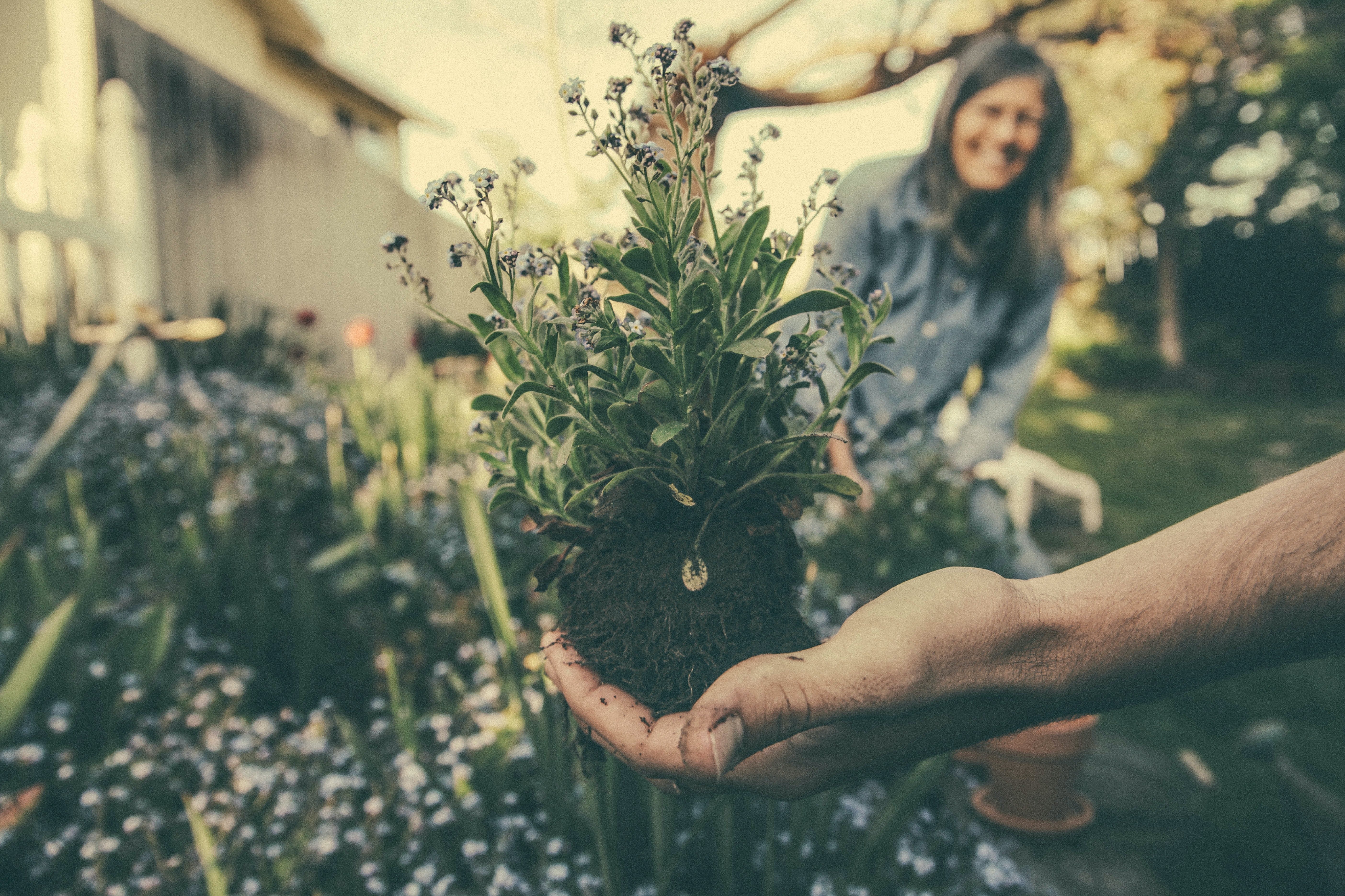 Image Credit: Unsplash / Benjamin Combs