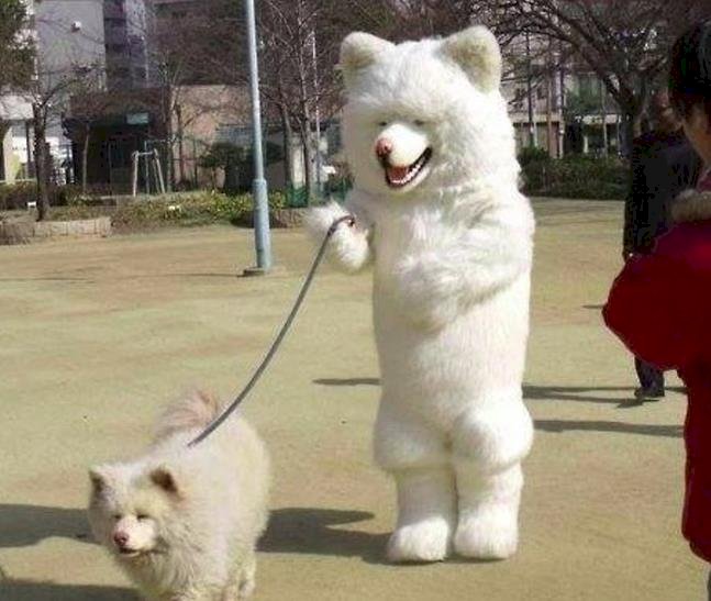 Créditos de imagen: Reddit/ Mkilbride Créditos de imagen: Reddit/ Mkilbride