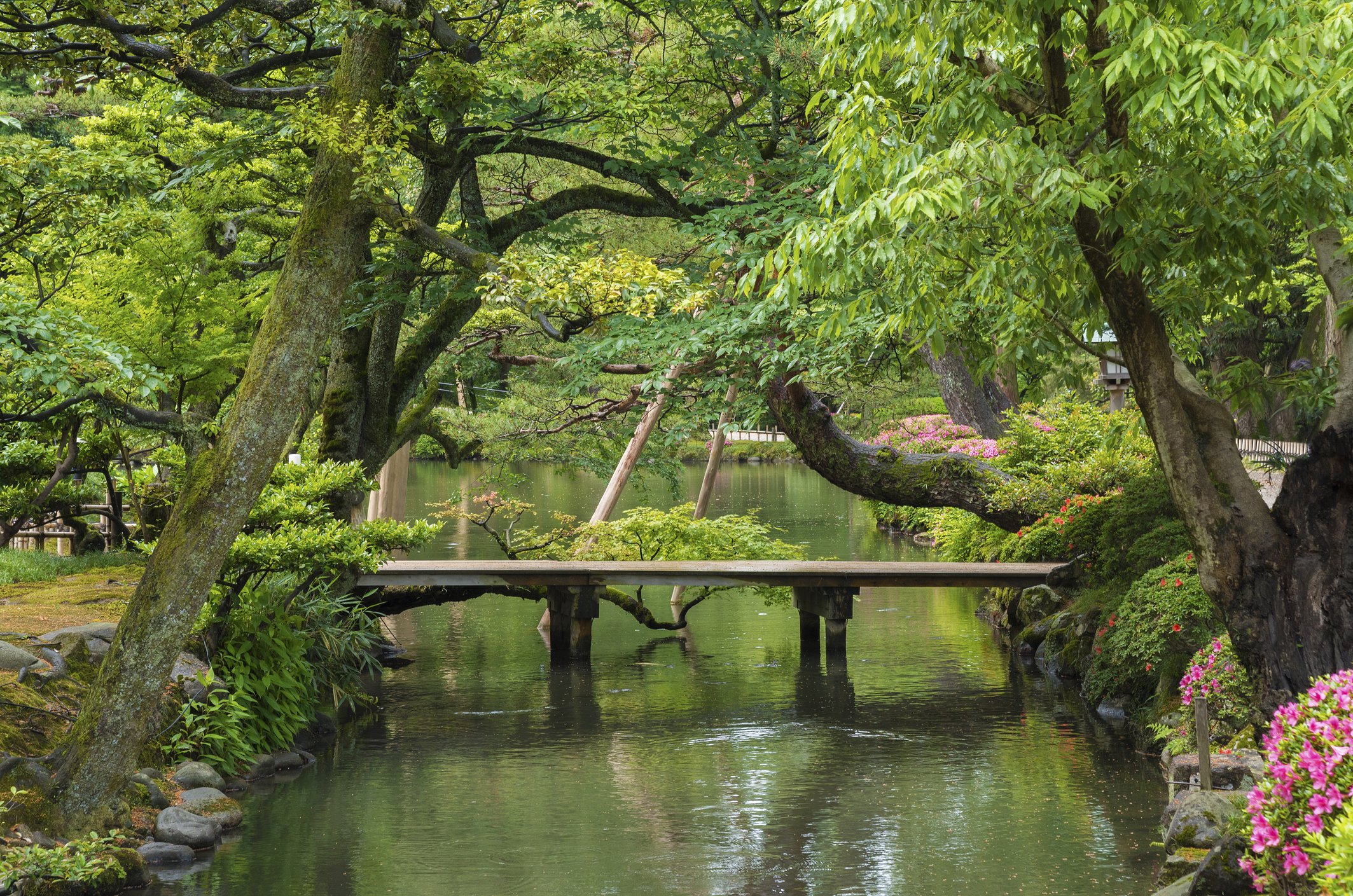 Image Credit: Getty Images Image Credit: Getty Images