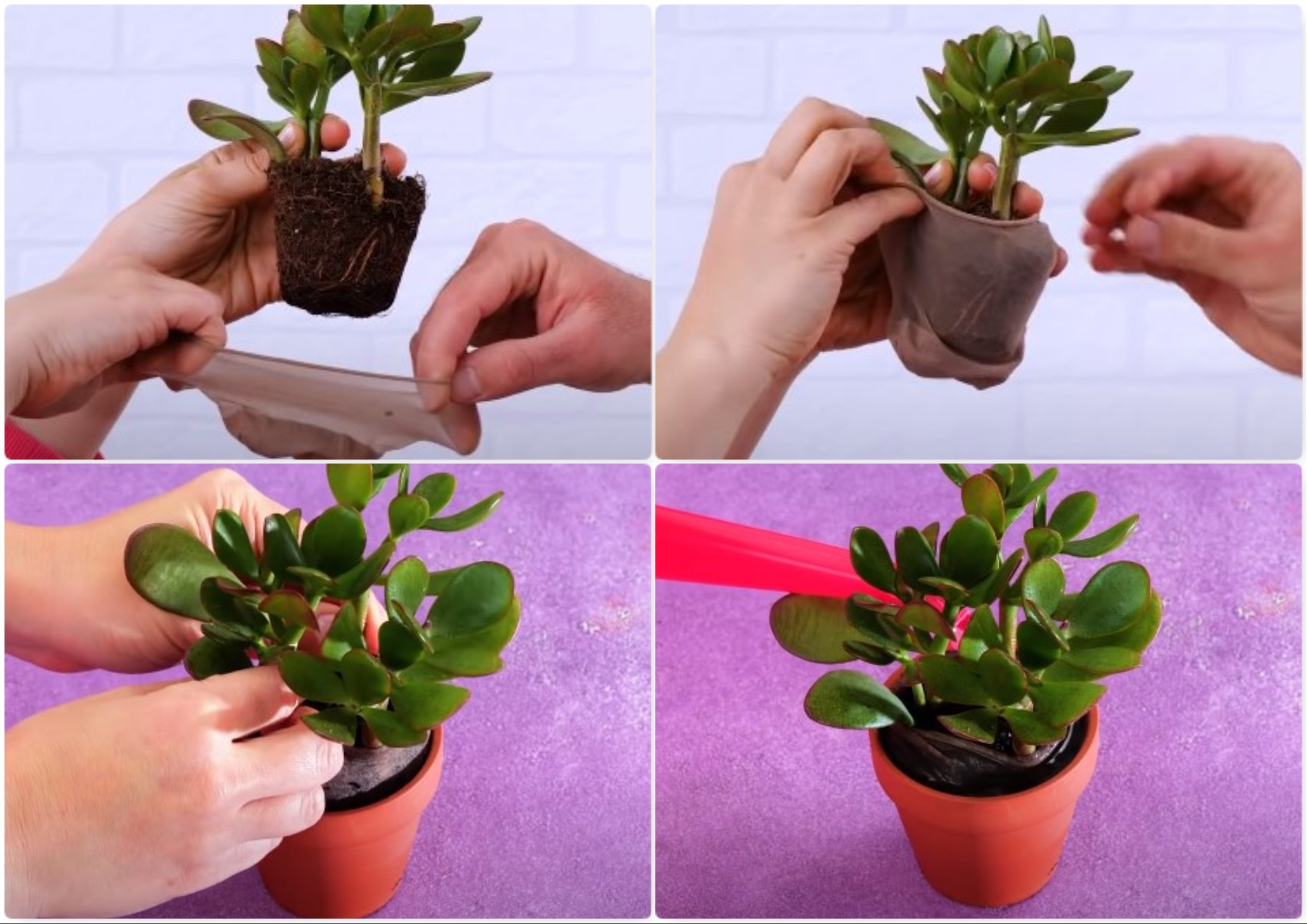 Image Credits: YouTube/5-Minute Crafts