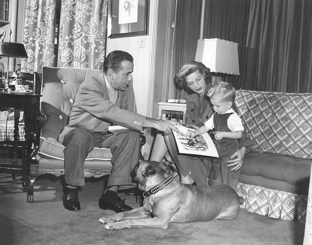 Image Credit: Getty Images Image Credit: Getty Images