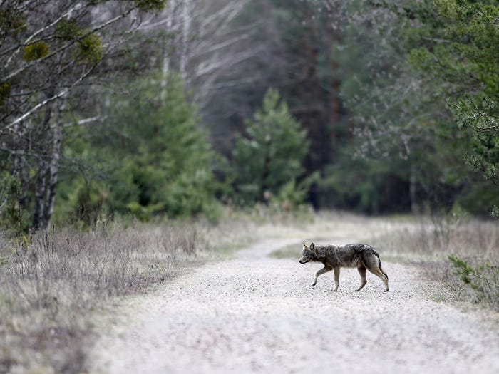 Image credits: Reuters/Vasily Fedosenko