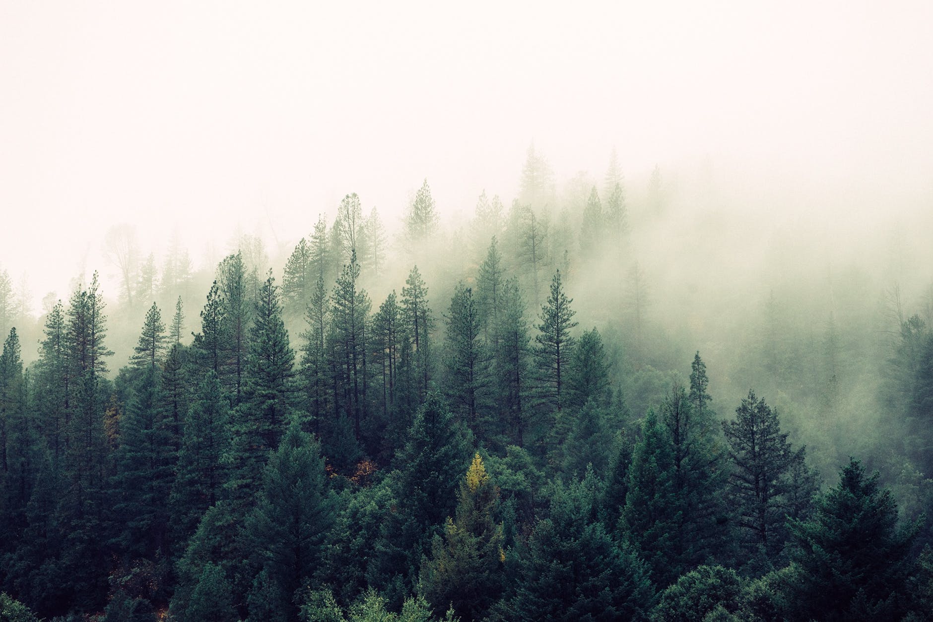 Image Credit: Pexels/Jaymantri Image Credit: Pexels/Jaymantri
