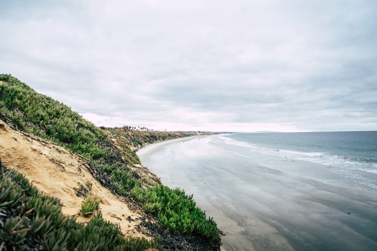 Image Credit: Unsplash Image Credit: Unsplash