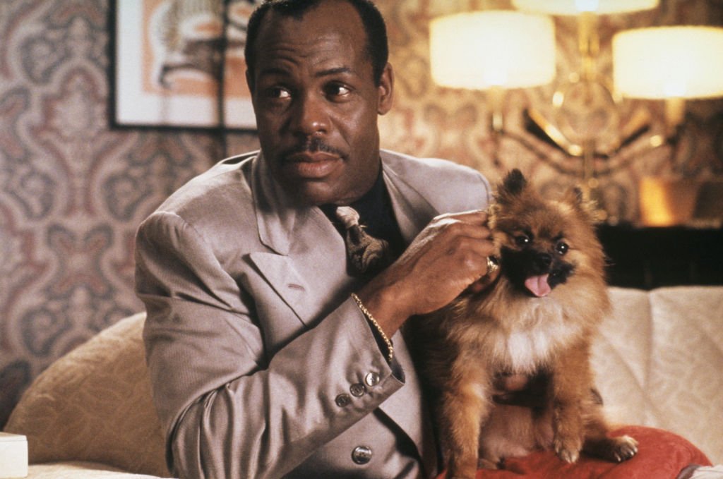 Image Source: Getty Images/Richard Blanshard| Easy Money (Danny Glover) with his pet dog in a scene from 'A Rage in Harlem', directed by Bill Duke, 1991 Image Source: Getty Images/Richard Blanshard| Easy Money (Danny Glover) with his pet dog in a scene from 'A Rage in Harlem', directed by Bill Duke, 1991