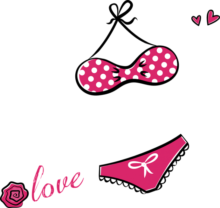 Créditos de imagen: Pixabay Créditos de imagen: Pixabay