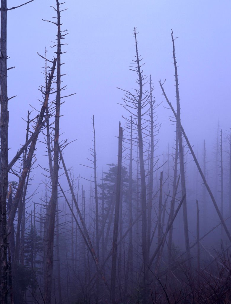 Image Credit: Getty Images Image Credit: Getty Images