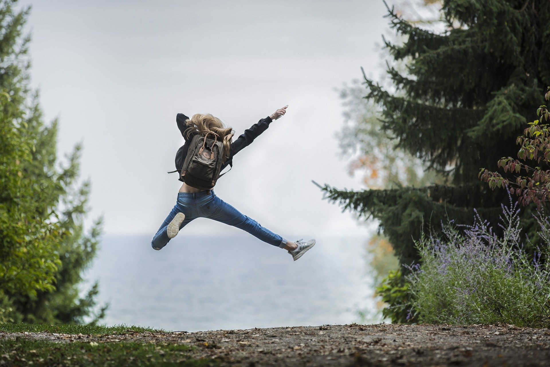 Image Credit: Pixabay / Pexels
