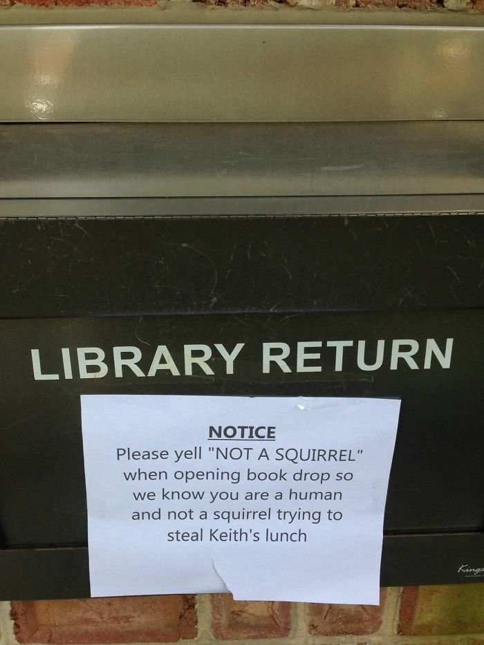 Image credits: Imgur/wombatjack Image credits: Imgur/wombatjack