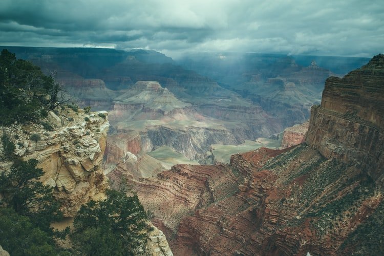 Image Credit: Unsplash/Tim Trad Image Credit: Unsplash/Tim Trad