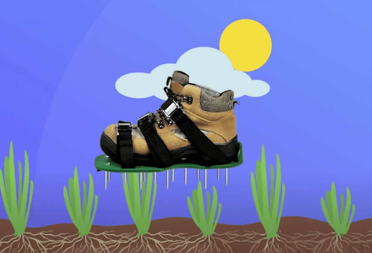 Image Source: Youtube/Lawn Solutions Australia