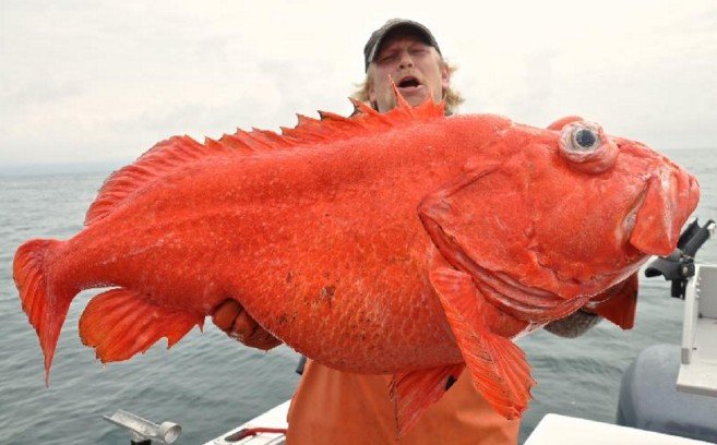 Image credits: International Fishing News Image credits: International Fishing News