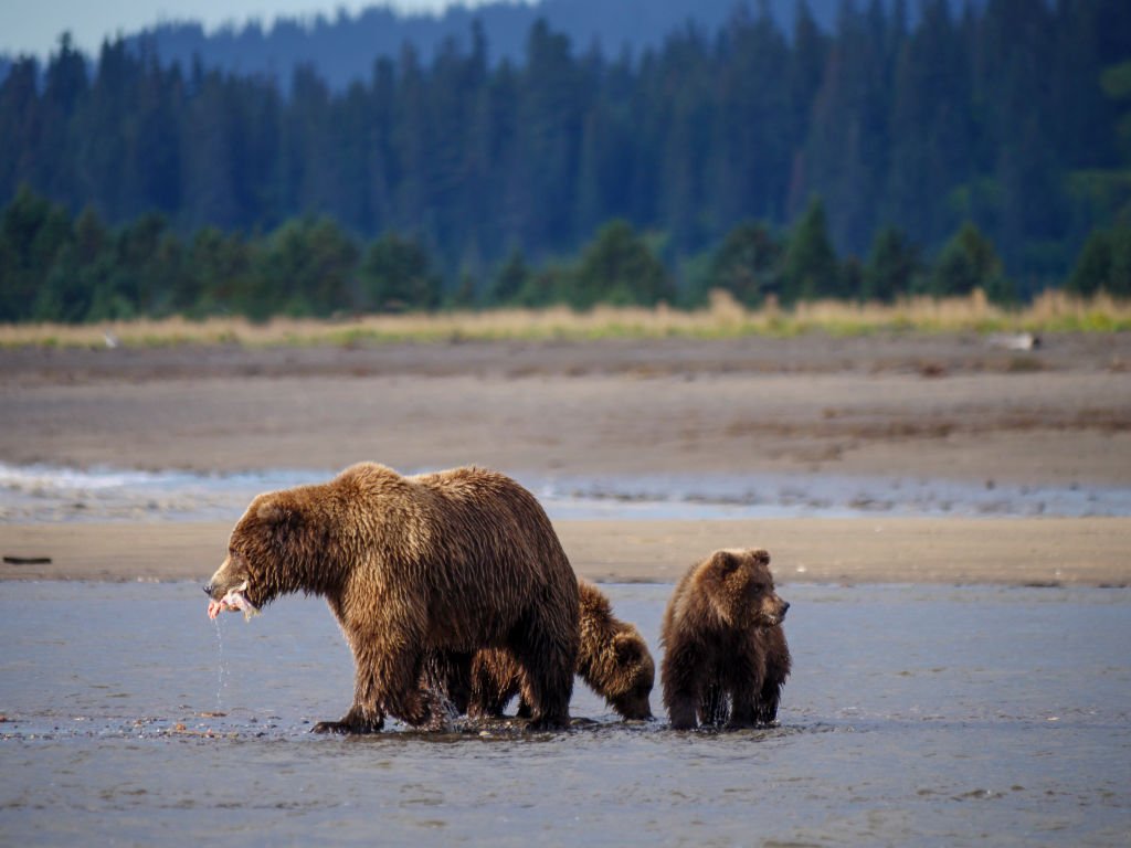 Image Credits: Getty Images/Education Images/Universal Images Group via Getty Images/For Illustrative Purposes Image Credits: Getty Images/Education Images/Universal Images Group via Getty Images/For Illustrative Purposes