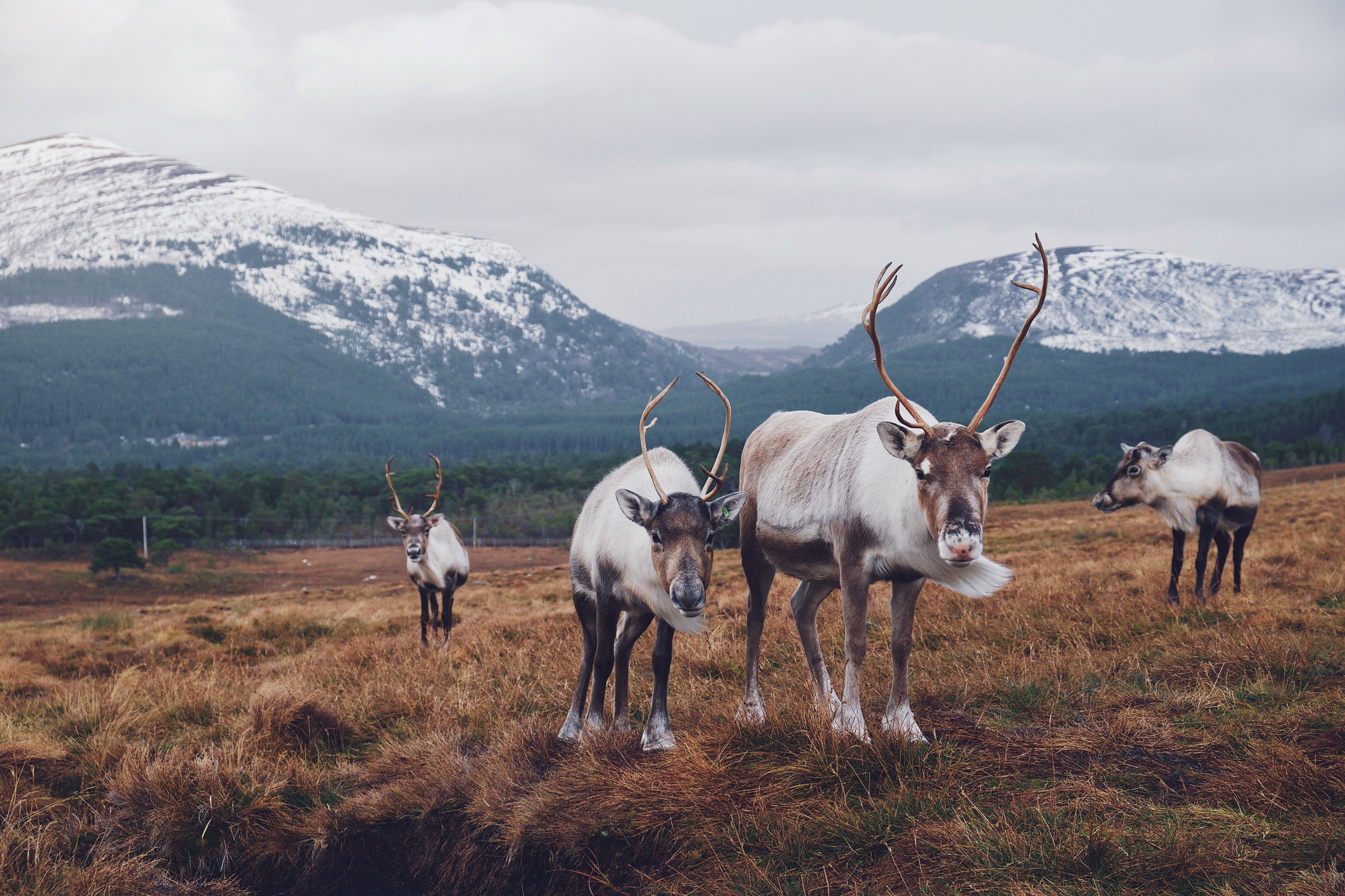 Image Source: Unsplash/Joe Green