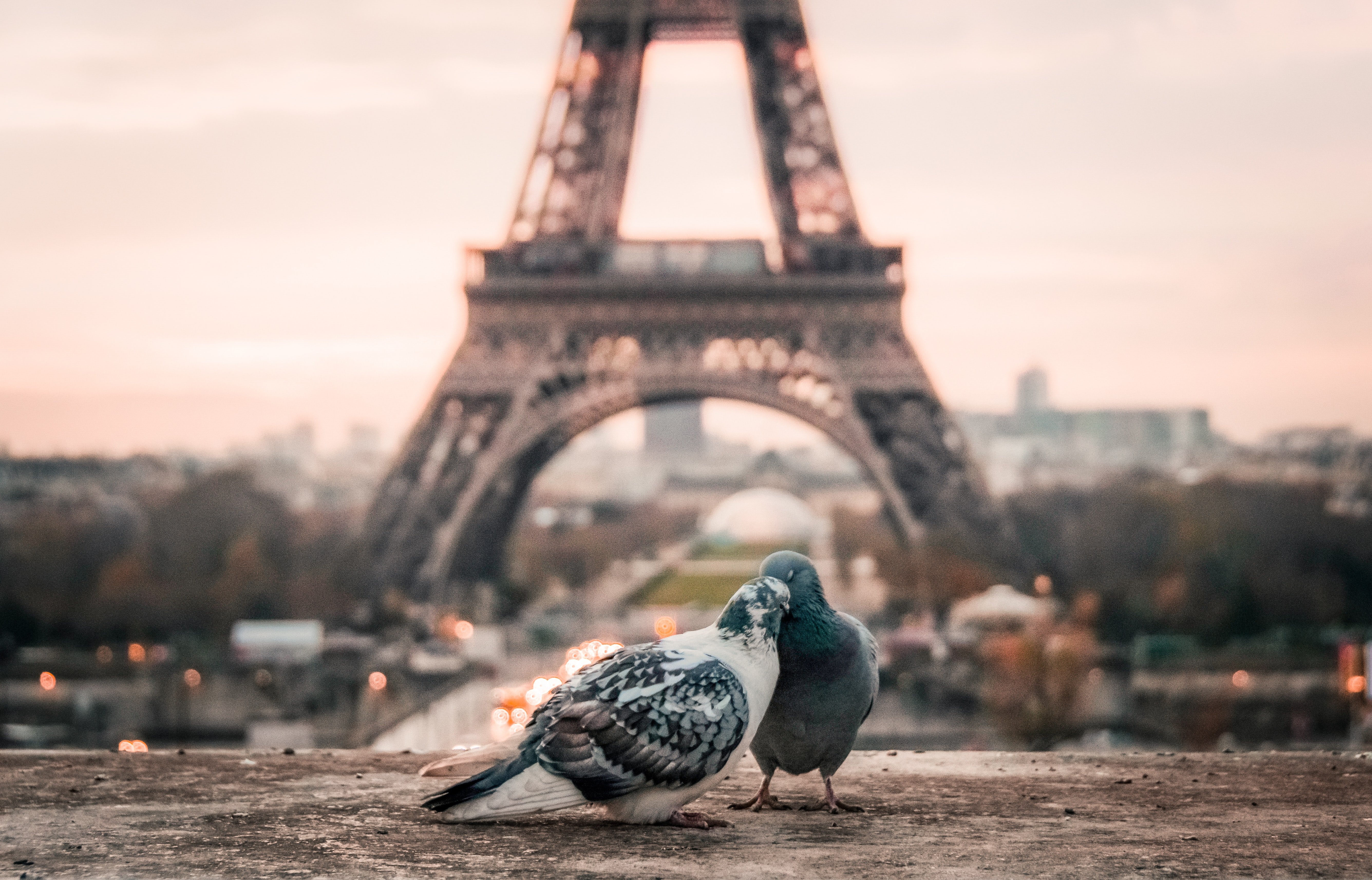 Image Credit: Unsplash / Fabrizio Verrecchia