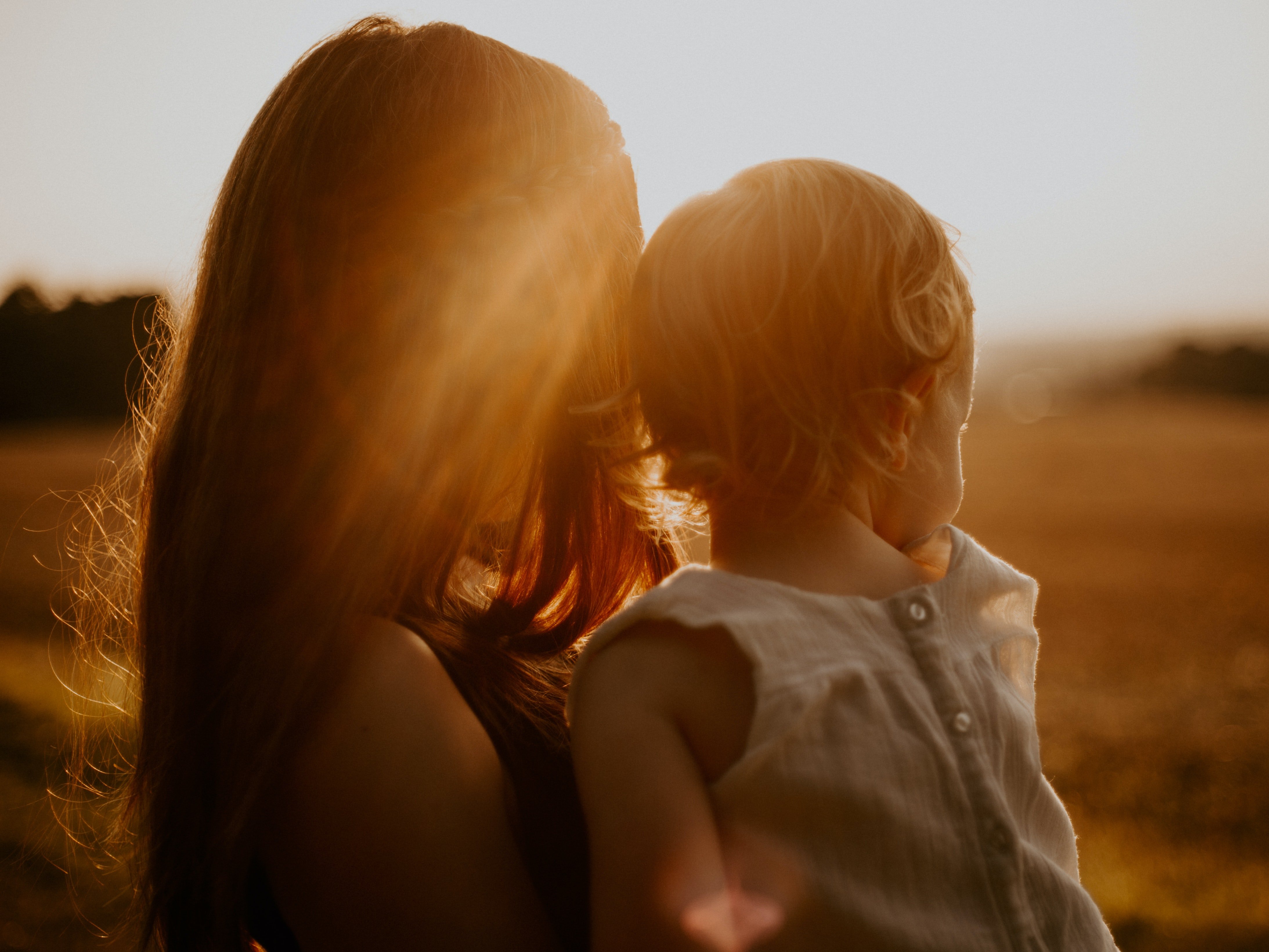 Image Credit: Pexels / Flora Westbrook