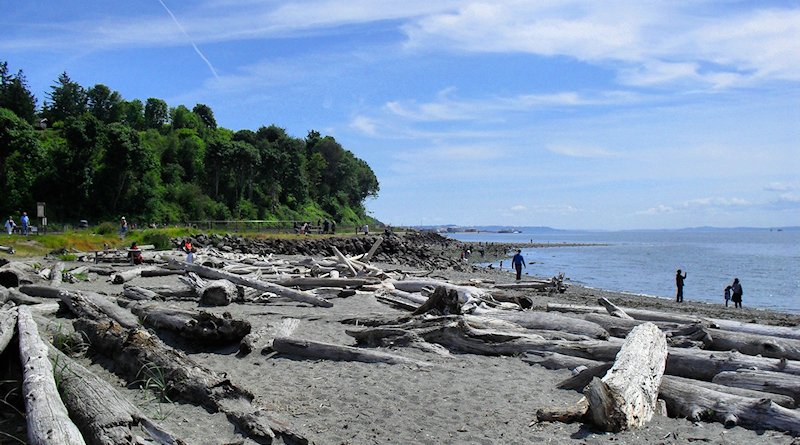 Image Credit: Seattle And Sound Image Credit: Seattle And Sound