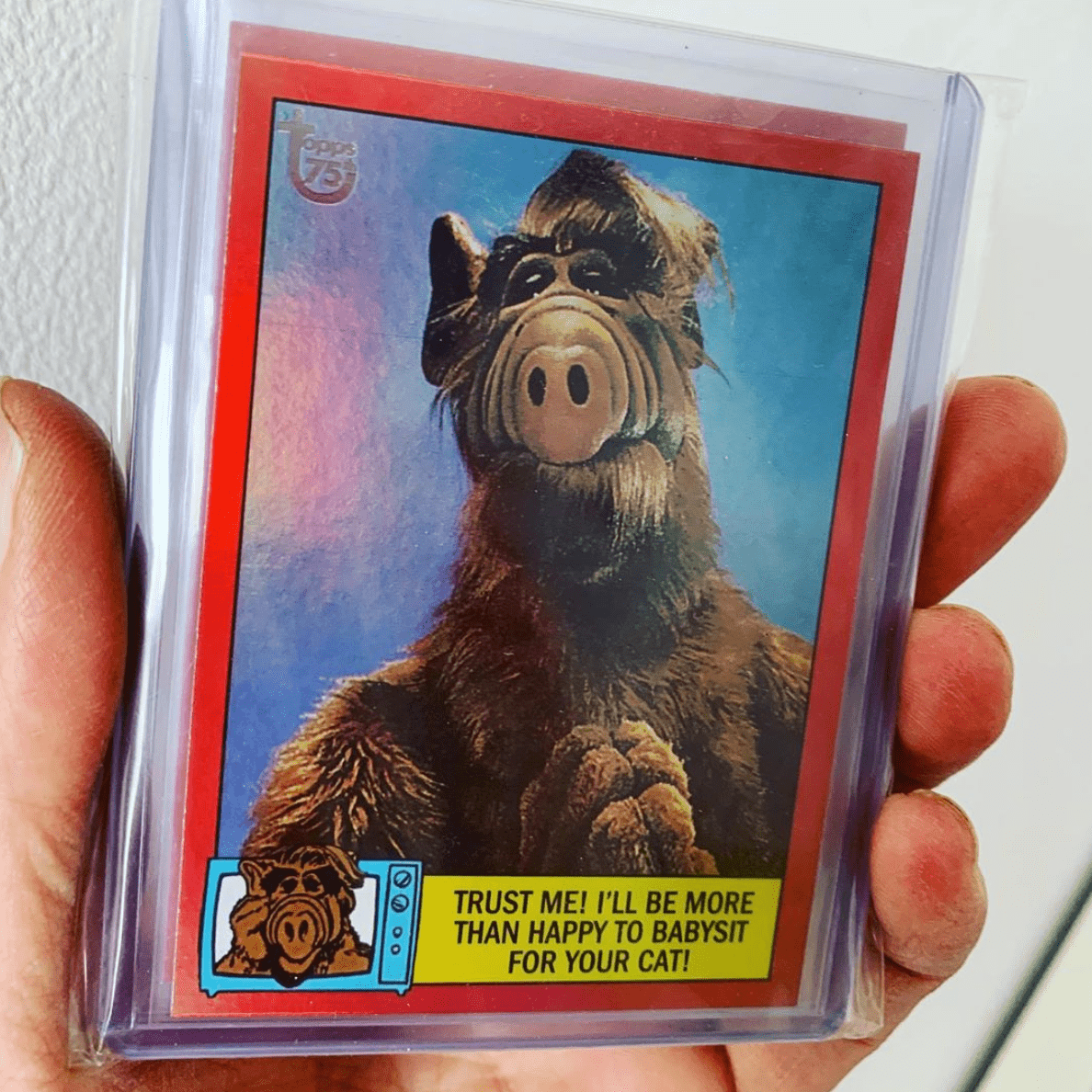 Image Credit: Instagram / Bring Back ALF