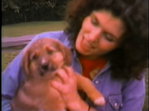 Image Credit: YouTube / StellaPartonOfficial Image Credit: YouTube / StellaPartonOfficial