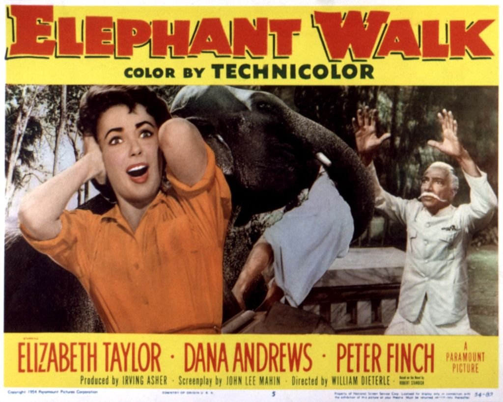 Image Credits: Getty Images / LMPC | Elizabeth Taylor replaced Vivien Leigh on "Elephant Walk"