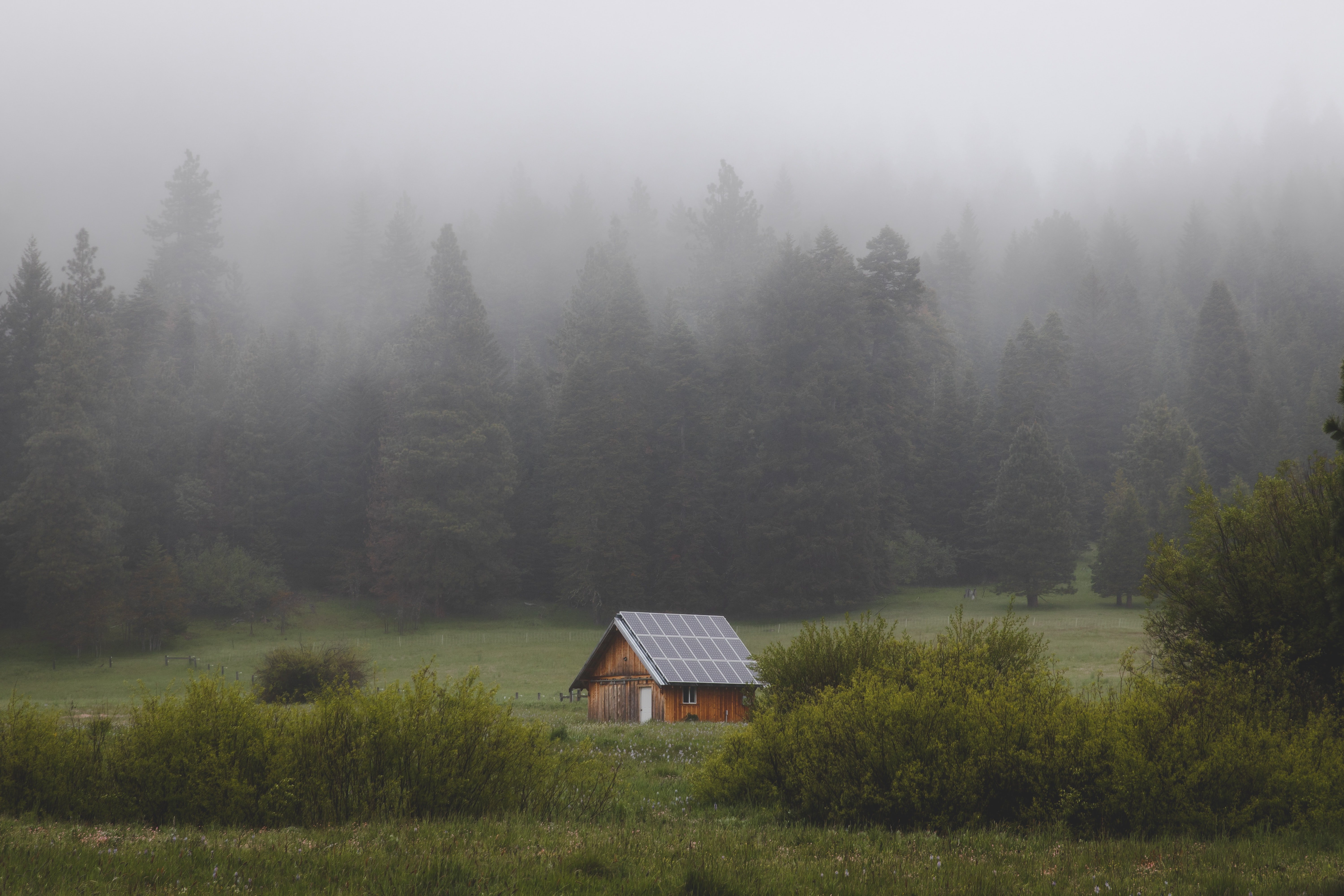 Image Source: Unsplash/Alex Bierwagen