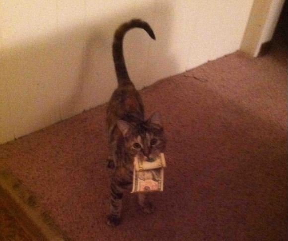 Crédito de imagen: Reddit/RipRoaringRay Crédito de imagen: Reddit/RipRoaringRay