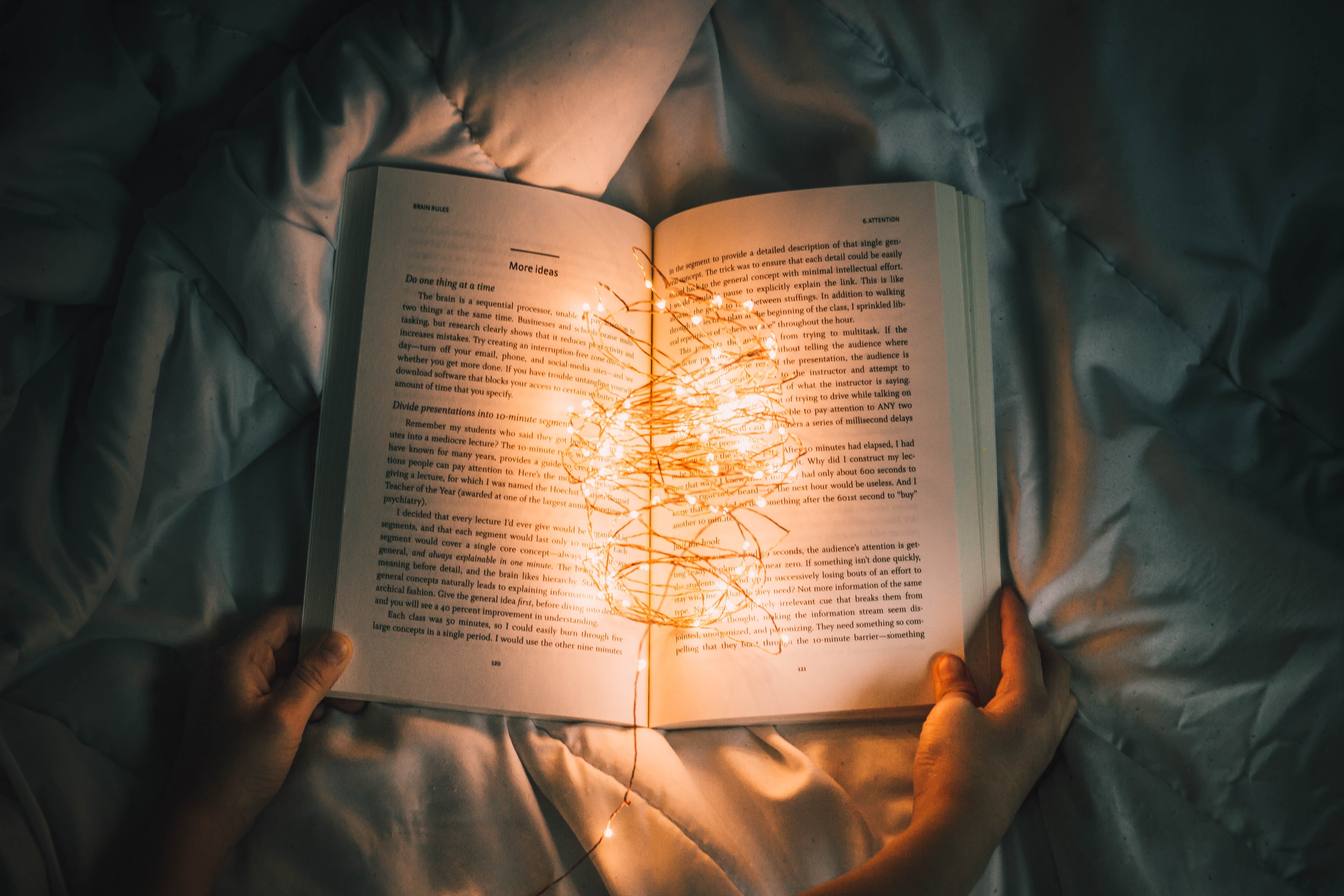 Image Source: Unsplash/Nong Vang