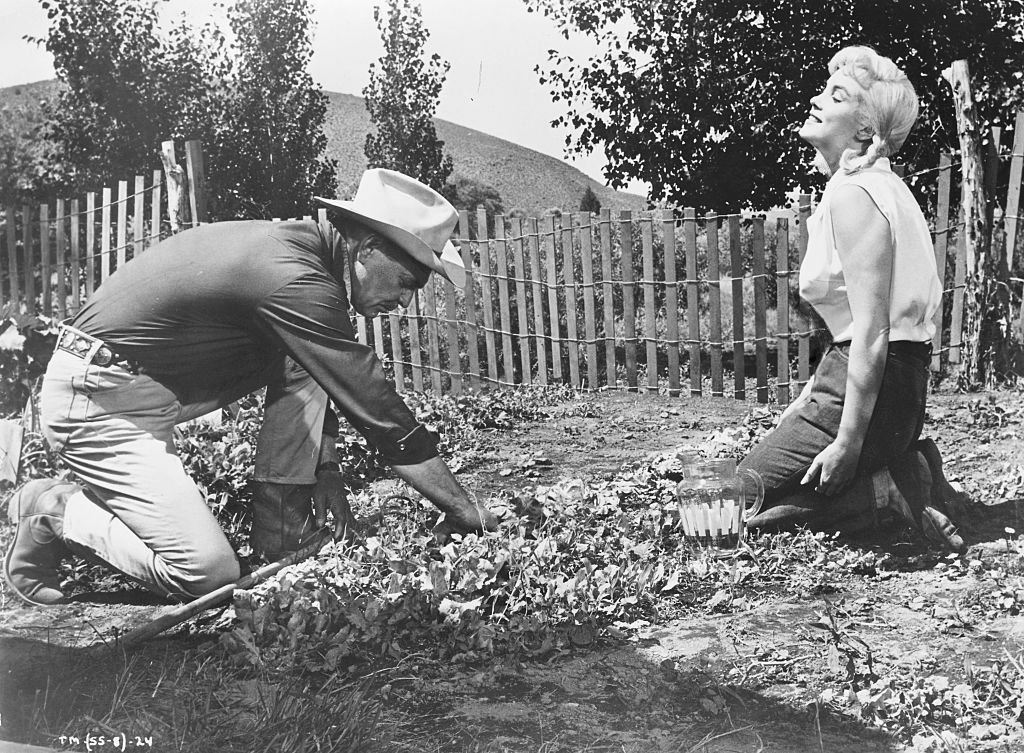 Image Credit: Getty Images / Marilyn Monroe and Clark Gable in their final film, The Misfits. Image Credit: Getty Images / Marilyn Monroe and Clark Gable in their final film, The Misfits.