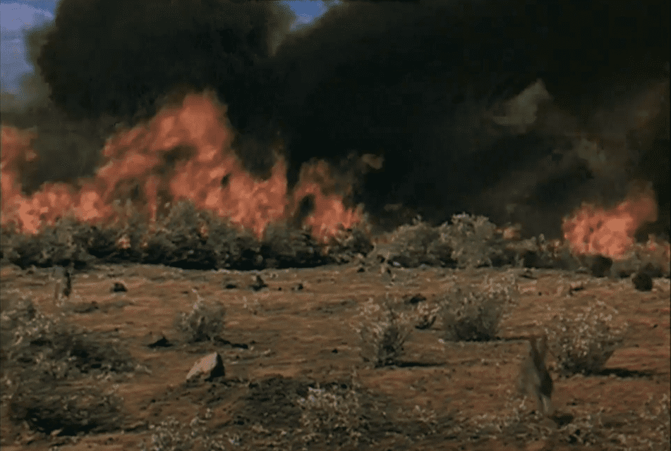 Image Credits: YouTube / Cameron Reilly | A scene from "M*A*S*H" final episode