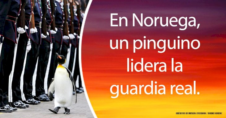 15 razones por las que vivir en Noruega te sorprenderá de una manera agradable