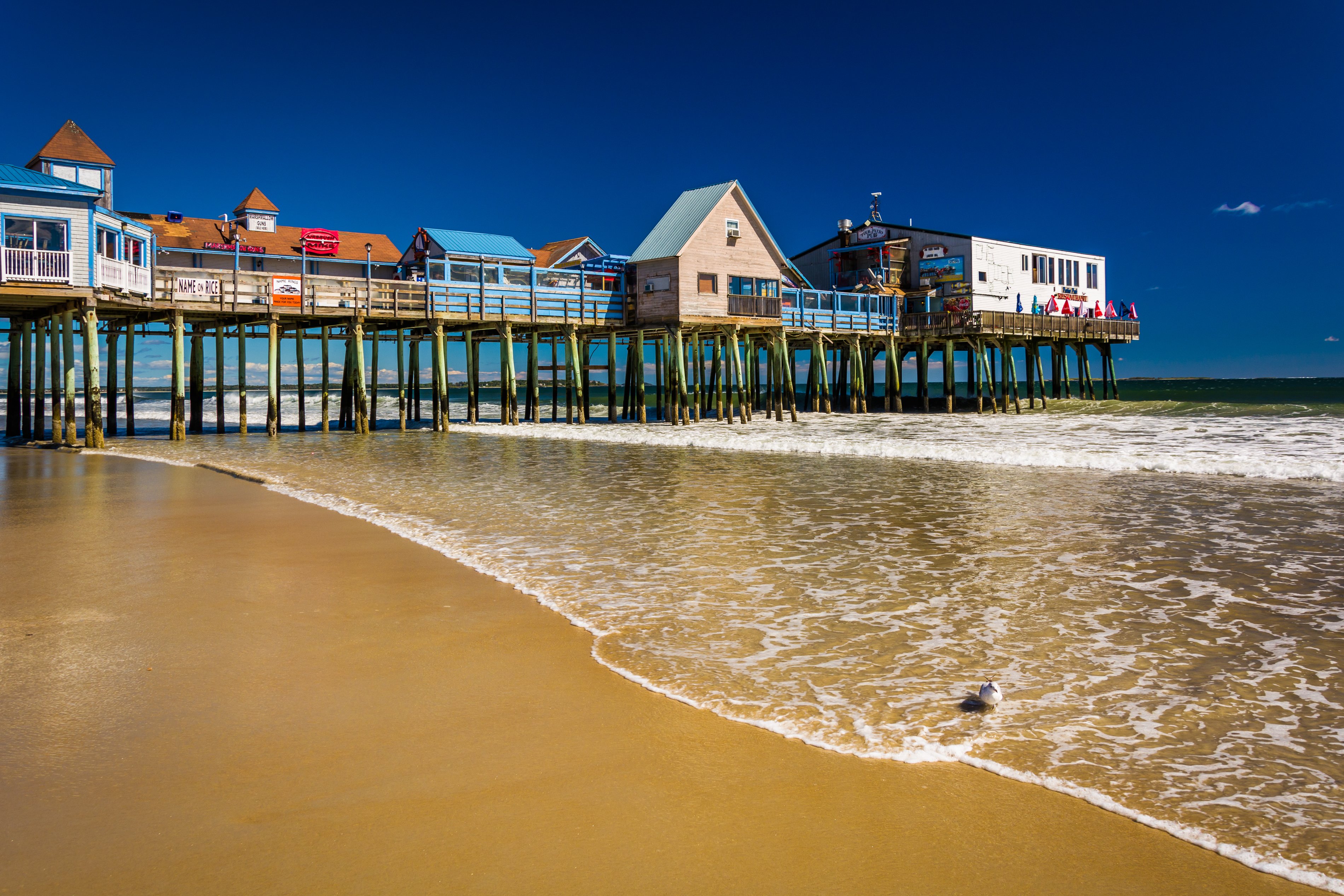 Image Credit: Getty Images Image Credit: Getty Images