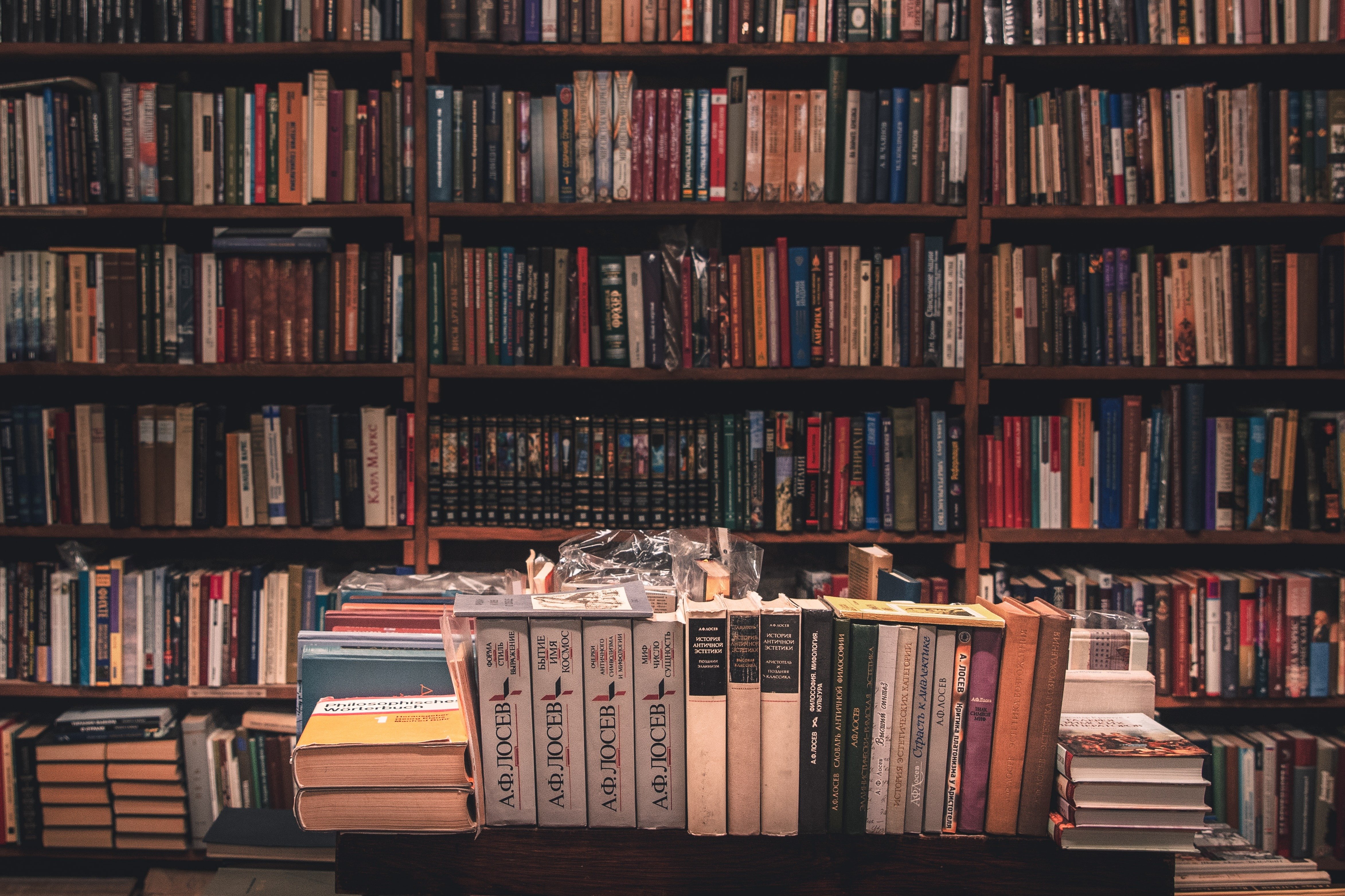 Image Source: Unsplash/Stanislav Kondratiev Image Source: Unsplash/Stanislav Kondratiev