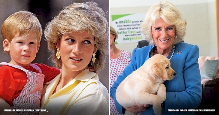 Hechos desconocidos sobre la relación entre Diana y Camilla
