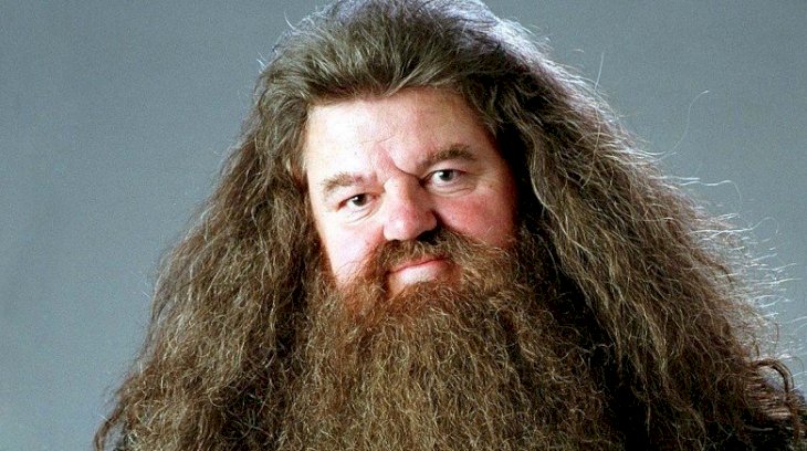 Scottish actor Robbie Coltrane as Hagrid | Source: Twitter/FireWillow777