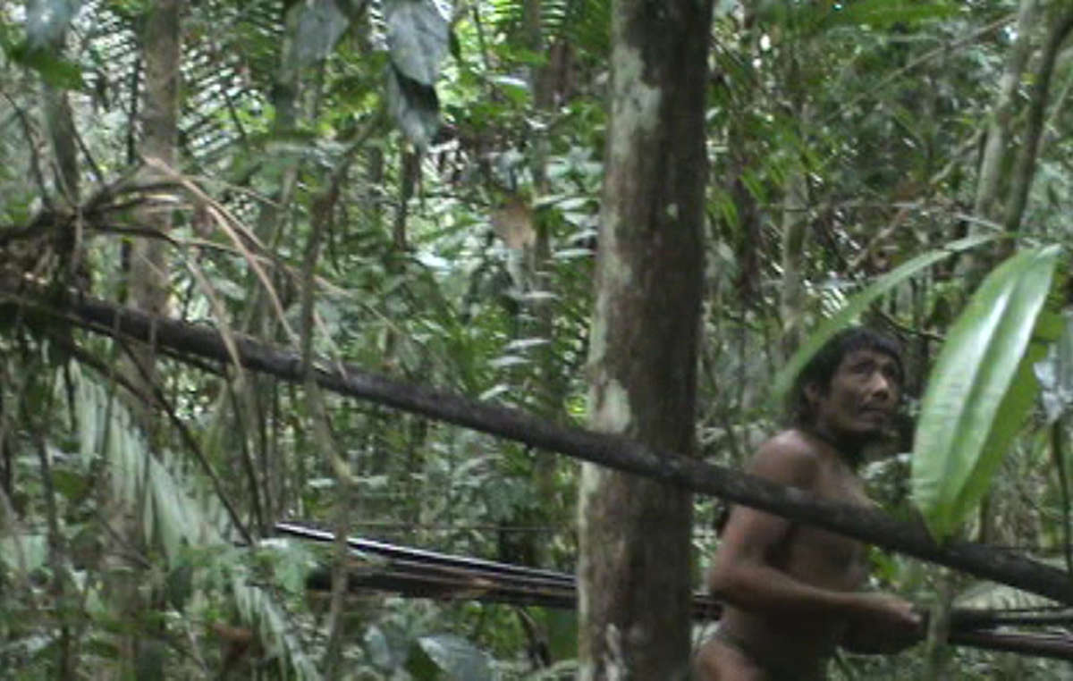 Image Credit: Survival International - FUNAI/G. Miranda Image Credit: Survival International - FUNAI/G. Miranda